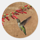 Search for feeding round stickers Animal