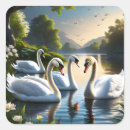 Search for elegant swan stickers Beautiful