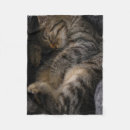 Search for tabby cat blankets Pet