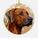 Search for rhodesian ridgeback christmas tree decorations Animal