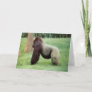 Search for silverback gorilla cards Zoo