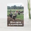Search for funny friend photography Chicken