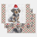 Search for dachshund christmas wrapping paper Dogs