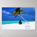 Search for maldives posters Palm