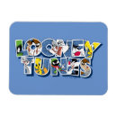 Search for sylvester magnets Taz