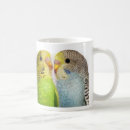 Search for budgerigar mugs Parrots