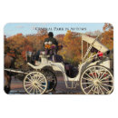 Search for carriage magnets Autumn