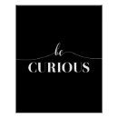 Search for curious posters Quote
