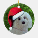 Search for poodle christmas tree decorations White