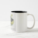 Search for 1903 mugs Illustration