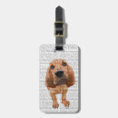 Search for bloodhound accessories Contemporary