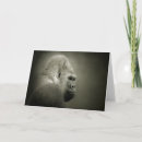 Search for realism cards Photograph
