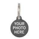 Search for photo pet tags Your image here