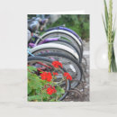 Search for dormitory cards College