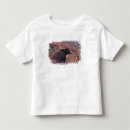 Search for denali national park tshirts Alpine