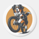 Search for bernese mountain magnets Puppy