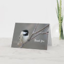 Search for chickadee cards Poecile atricapillus
