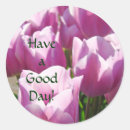 Search for purple tulip stickers Nature