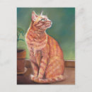Search for yellow cat postcards Orange
