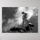 Search for banana tree art Nature