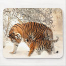 Search for tiger mouse mats Cat