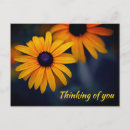 Search for susan postcards Yellow