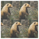 Search for bear fabric Nature
