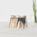 Search for llama note cards Animal