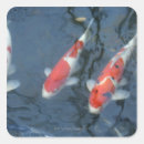 Search for koi carp stickers Pond