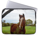 Search for chestnut brown electronics Cute