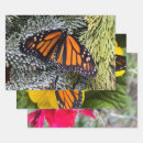 Search for monarch butterfly wrapping paper Monarchs
