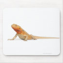 Search for bearded dragon mouse mats Animal