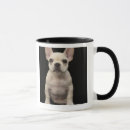 Search for cream french bulldog mugs Animal