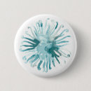 Search for sealife badges Watercolors
