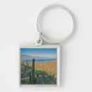 Search for sonoran key rings Landscape