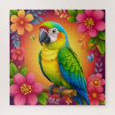 Search for parrot puzzles Exotic bird