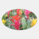 Search for mosses stickers Flower