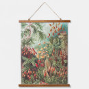 Search for ernst haeckel posters Natural history