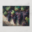 Search for purple grapes postcards Vintage