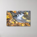 Search for creek canvas prints Fall