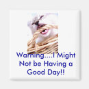 Search for biting square magnets Kitty