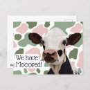 Search for funny cow puns postcards Animal