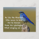 Search for mountain birds postcards Songbird