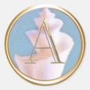 Search for sea shell envelope seals Ocean