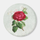 Search for rose red magnets Grey
