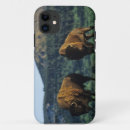Search for rocky mountain national park iphone cases Canada