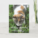Search for calicos cards Garden