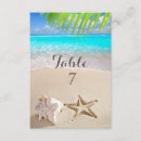 Search for seashells table cards Tropical