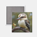 Search for kookaburra magnets Australian