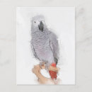 Search for faux postcards Animal